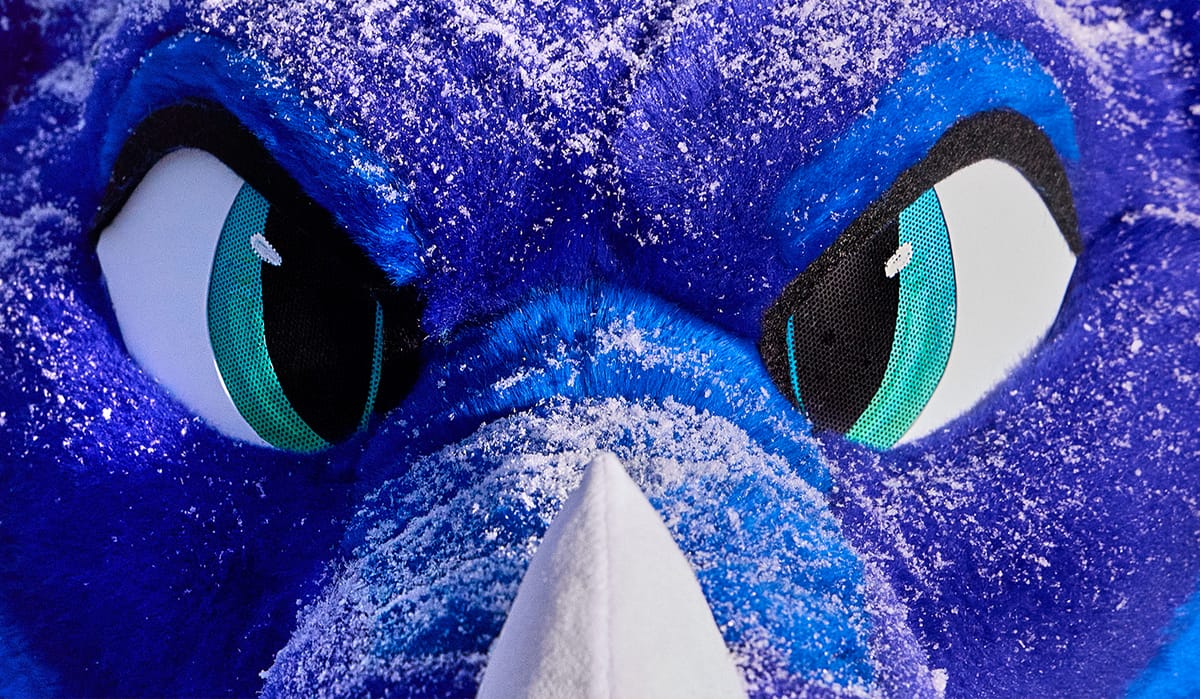 Inside Midwest Furfest, the sacred playground of the furry fandom